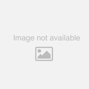 Ranch Hand 8 oz Beef Jerky Sweet Teriyaki (6/case)